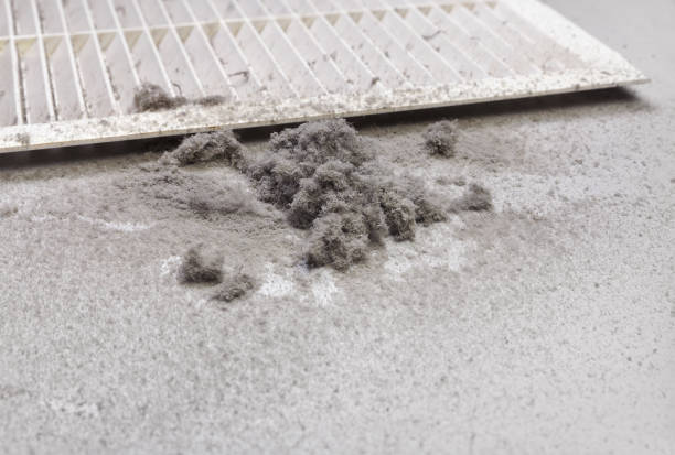 Best HVAC Duct Inspection Services  in Jacksonvle, IL